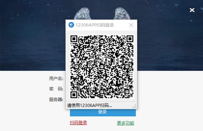 2024春运12306抢票极致工具使用说明!请查收!